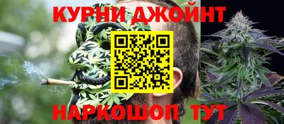 молекула духа Гатчина
