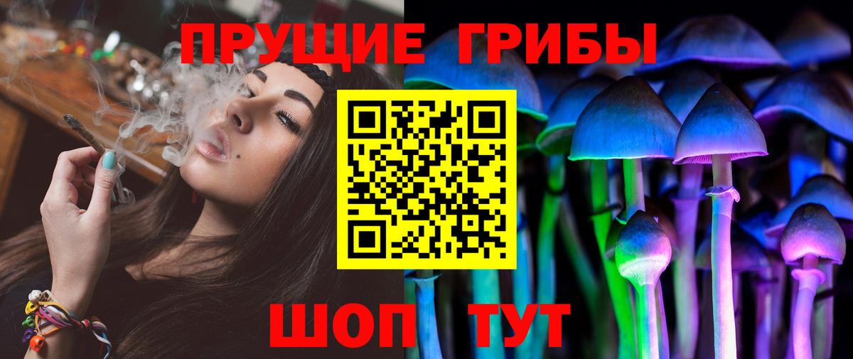 Мценск  Галлюциногенные грибы Magic Shrooms  Псилоцибиновые грибы ЛСД  Вход с VPN 